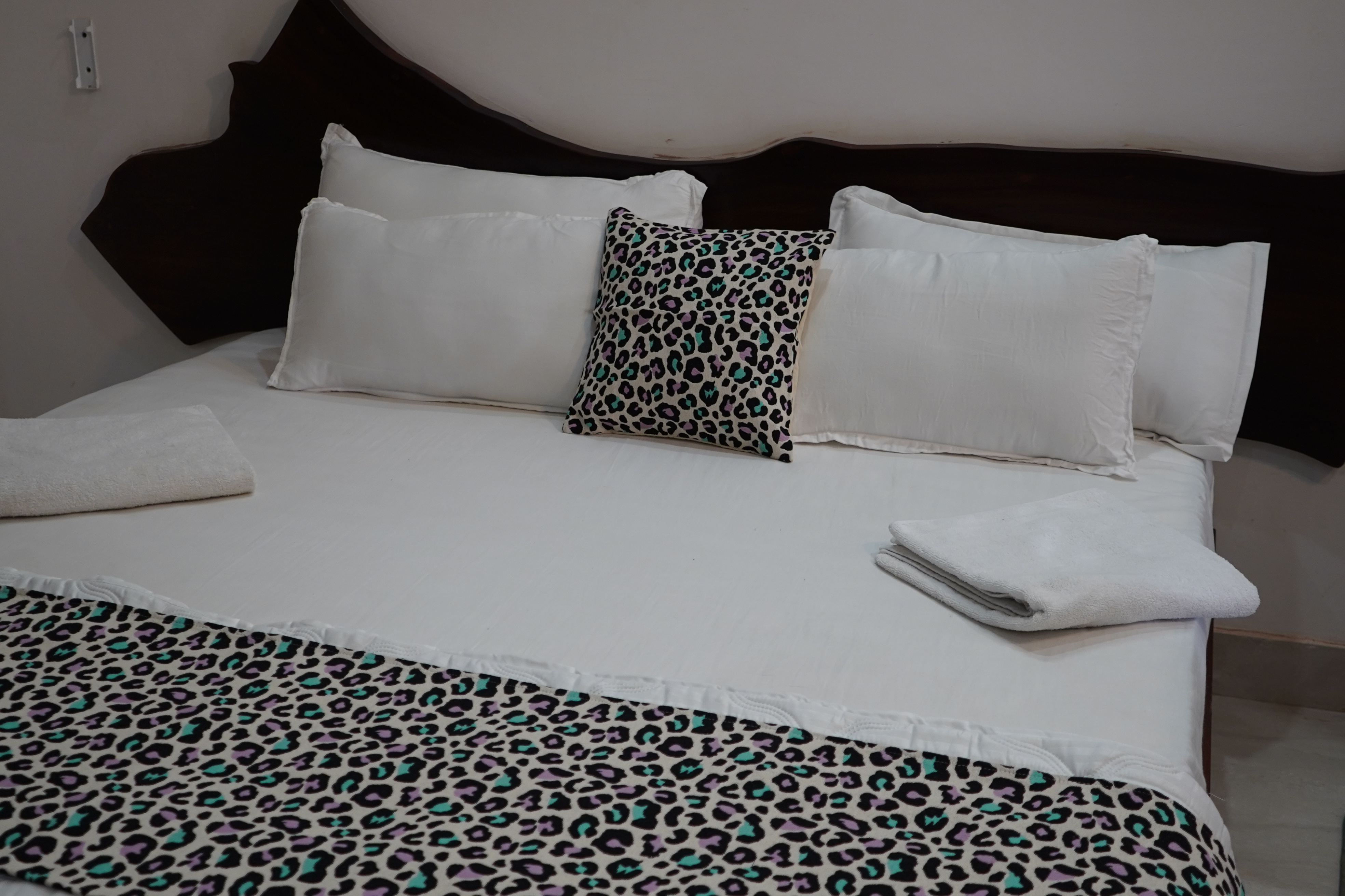 Ashlesha Suites view 4